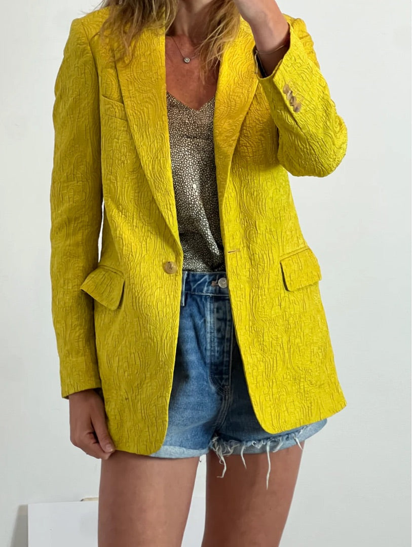 Dries Van Noten Blazer Textura in Pistacho - Size 38